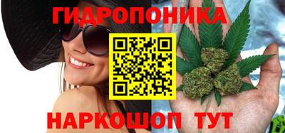 МДМА Заводоуковск