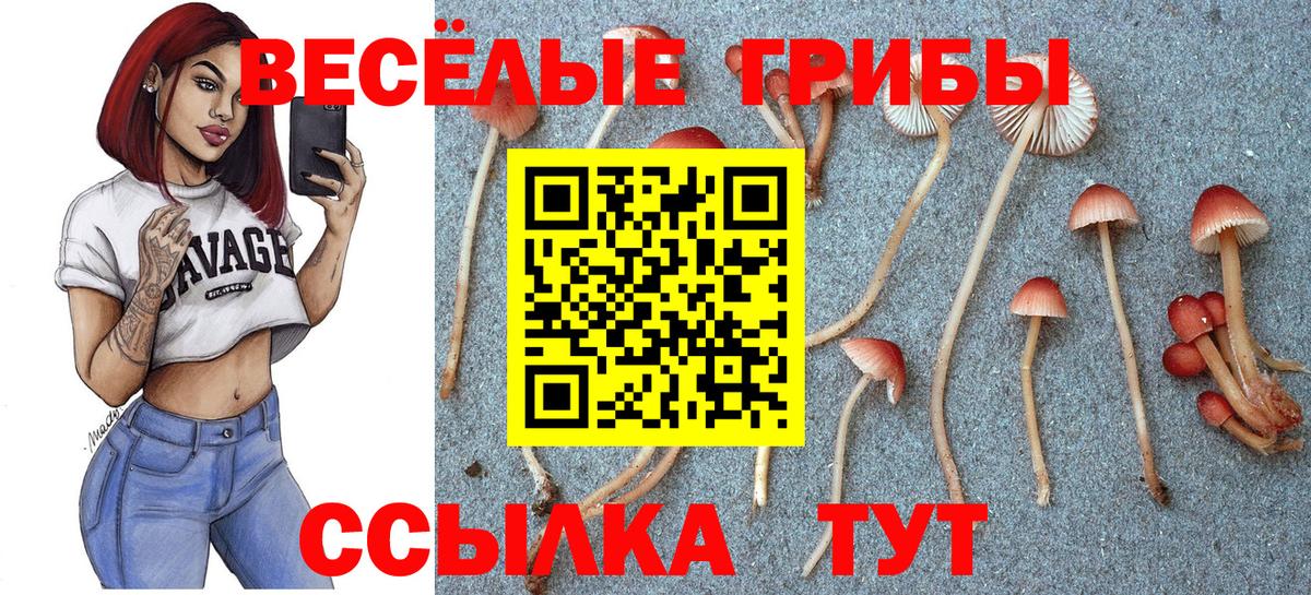 закладка  Псилоцибиновые грибы мицелий  Вход с VPN  Дятьково 