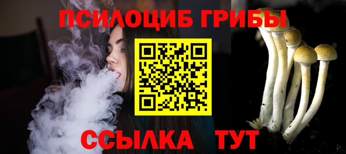 Галлюциногенные грибы Psilocybine cubensis Дятьково